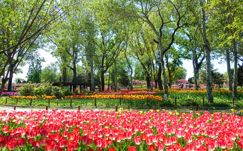 Our Work - Advert Sphere